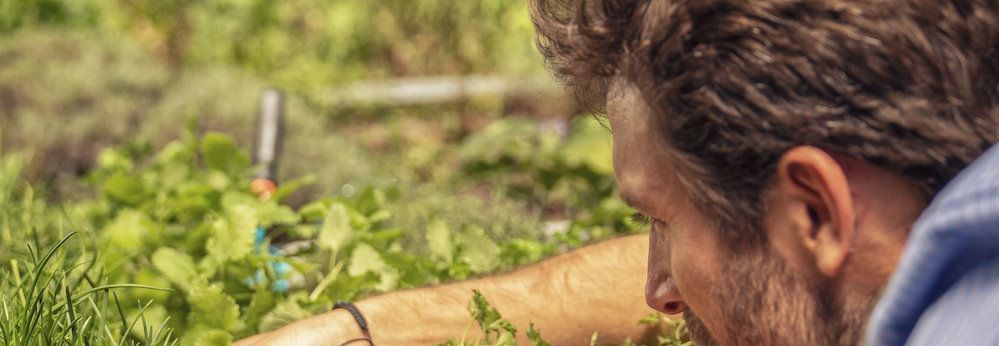 Eine Person installiert das GARDENA Micro-Drip-System